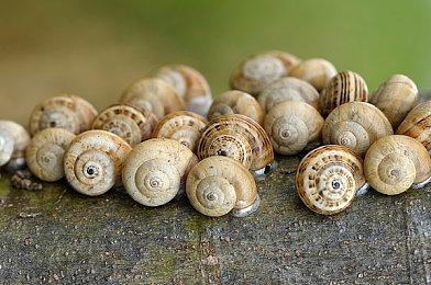 《腐烂国度2》最终更新上线 《腐烂国度3》全力开发中